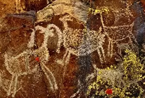 Images Dated 12th October 2007: USA, California, Little Petroglyph Canyon, Ridgecrest. Wall of ancient petroglyph rock carvings