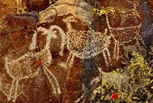 Images Dated 12th October 2007: USA, California, Little Petroglyph Canyon, Ridgecrest. Wall of ancient petroglyph rock carvings