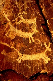 Images Dated 12th October 2007: USA, California, Little Petroglyph Canyon, Ridgecrest. Wall of ancient petroglyph rock carvings