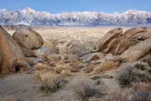 Images Dated 19th March 2012: USA, California, Lone Pine. View of Lone Pine Peak and Mount Whitney as seen from the Alabama Hills