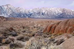 Images Dated 19th March 2012: USA, California, Lone Pine. View of Lone Pine Peak and Mount Whitney as seen from the Alabama Hills