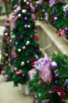 Images Dated 31st December 2004: USA-California-Los Angeles-Beverly Hills: Rodeo Drive- Christmas Decorations