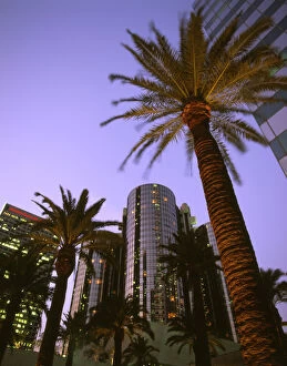 U.S.A. California, Los Angeles Downtown area, palms and Bonaventure Hotel