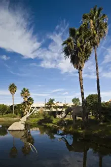 USA, California, Los Angeles. Miracle Mile District, La Brea Tar Pits