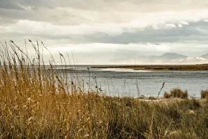 Drought Prints: USA, California. Mojave Desert, Mojave National Preserve, Zzyzx, Mojave Soda lake