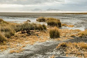 USA, California. Mojave Desert, Mojave National Preserve, Zzyzx, Mojave Soda lake