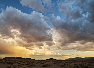 USA, California, Mojave National Preserve, Desert rain squall at sunset