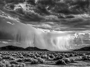 Thunderstorm Prints: USA, California, Mojave National Preserve, Desert rain squall at sunset