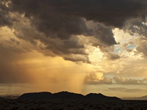 Thunderstorm Prints: USA, California, Mojave National Preserve, Desert rain squall at sunset