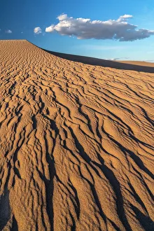 Judith Zimmerman Prints: USA, California. Mojave Trails National Monument, Cadiz Dunes