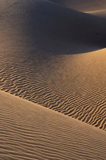 Judith Zimmerman Prints: USA, California. Mojave Trails National Monument, Cadiz Dunes
