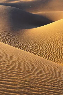 Images Dated 12th January 2024: USA, California. Mojave Trails National Monument, Cadiz Dunes