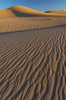 Judith Zimmerman Prints: USA, California. Mojave Trails National Monument, Cadiz Dunes