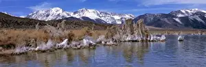 Sage Brush Prints: USA, California, Mono Lake. Tufa towers mix with sagebrush at Mono Lake in the east