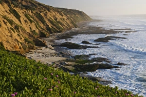Ice Plant Prints: USA, California, Montana de Oro State Park. Picturesque central California coast