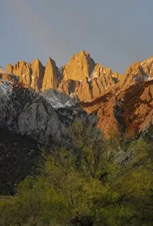 Images Dated 31st December 2005: USA, California, Mount Whitney, Inyo National Forest