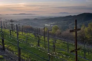 Napa County Prints: USA, California, Napa Valley. Napa Valley and Hess Collection winery and Christian