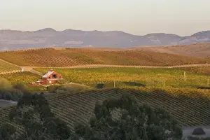 Peacefulness Prints: USA, California, Napa Valley. Sunset light over house in the vineyard covered rolling