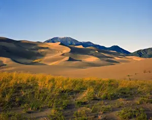 Flat Prints: USA, California and Nevada, Death Valley National Park, Sand Dunes in Mesquite Flat