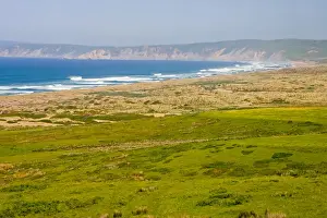 Headland Prints: USA, California, North Beach at Point Reyes National Seashore