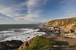 Images Dated 30th December 2010: USA, California, Northern California, North Coast, Bodega Bay, Bodega Head, late