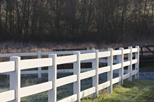 USA, California, Northern California, North Coast, Bodega, country fence, winter