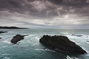 Images Dated 1st January 2011: USA, California, Northern California