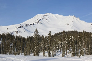 Images Dated 4th January 2011: USA, California, Northern California, Northern Mountains, Mount Shasta, view of Mt