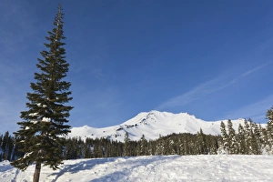 Images Dated 4th January 2011: USA, California, Northern California, Northern Mountains, Mount Shasta, view of Mt