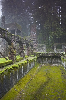 Images Dated 8th January 2011: USA, California, Northern California, Sonoma Wine Country, Glen Ellen, Jack London
