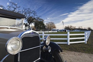 Images Dated 9th January 2011: USA, California, Northern California, Napa Valley Wine Country, Rutherford, Nickel