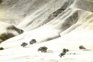 Images Dated 27th May 2022: Usa, California. Oak trees and hills of the Coast Range south of Salinas, California