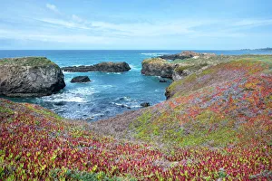 Pacific Coast Prints: USA, California. Pacific Ocean, cliffs edge in Mendocino Headlands State Park