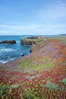 Pacific Coast Prints: USA, California. Pacific Ocean, cliffs edge in Mendocino Headlands State Park