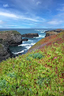 Pacific Coast Prints: USA, California. Pacific Ocean, Mendocino Headlands State Park