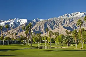 Images Dated 27th December 2008: USA, California, Palm Springs. Desert Princess Golf Course and Mountains, winter
