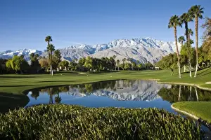 Images Dated 27th December 2008: USA, California, Palm Springs. Desert Princess Golf Course and Mountains, winter
