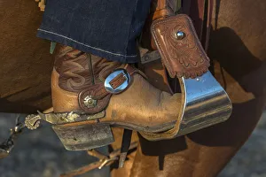 Ellen Clark Prints: USA, California, Parkfield, V6 Ranch cowgirl boot in stirrup (MR)