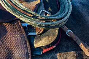 Saddle Prints: USA, California, Parkfield, V6 Ranch detail of a saddle and lasso