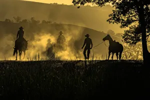 USA, California, Parkfield, V6 Ranch silhouette of riders, on horseback. Early dusty morning