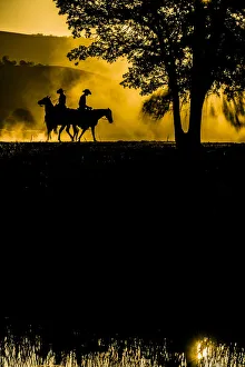 Images Dated 28th July 2017: USA, California, Parkfield, V6 Ranch silhouette of two riders faced opposite directions