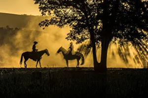 Ellen Clark Prints: USA, California, Parkfield, V6 Ranch silhouette of two riders on horseback