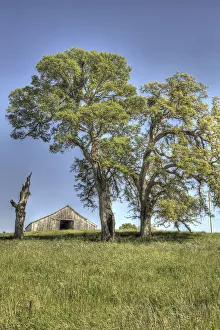 Images Dated 27th May 2022: Usa, California. Peaceful rural setting near Folsom