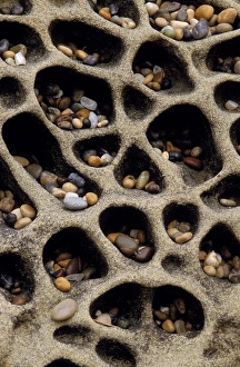 Pebble Prints: USA, California. Pebbles collected in rock cavities