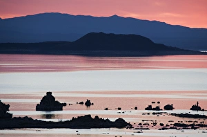 Images Dated 14th June 2005: USA, California. Predawn light at Mono Lake silhouettes tufas