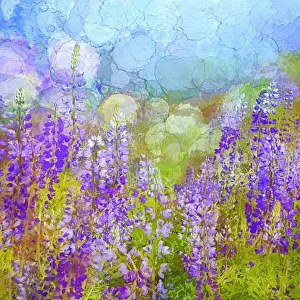 USA, California, Redwood National Park. Abstract of lupine flowers in fog