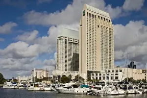 Images Dated 23rd December 2008: USA, California, San Diego. Harborside city view from Embarcadero Park