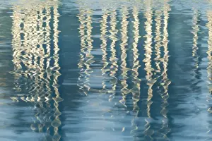 Images Dated 27th November 2011: USA, California, San Diego. Reflections on Childrens Park pool in Martin Luther King Jr