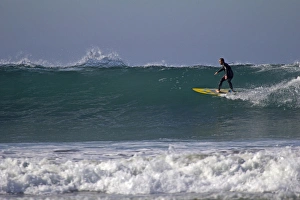 Surfing Prints: USA, California, San Diego. Surfer at Cardiff by the Sea