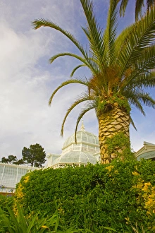 Conservatory Prints: USA, California, San Francisco, San Francisco Conservatory of Flowers in Golden